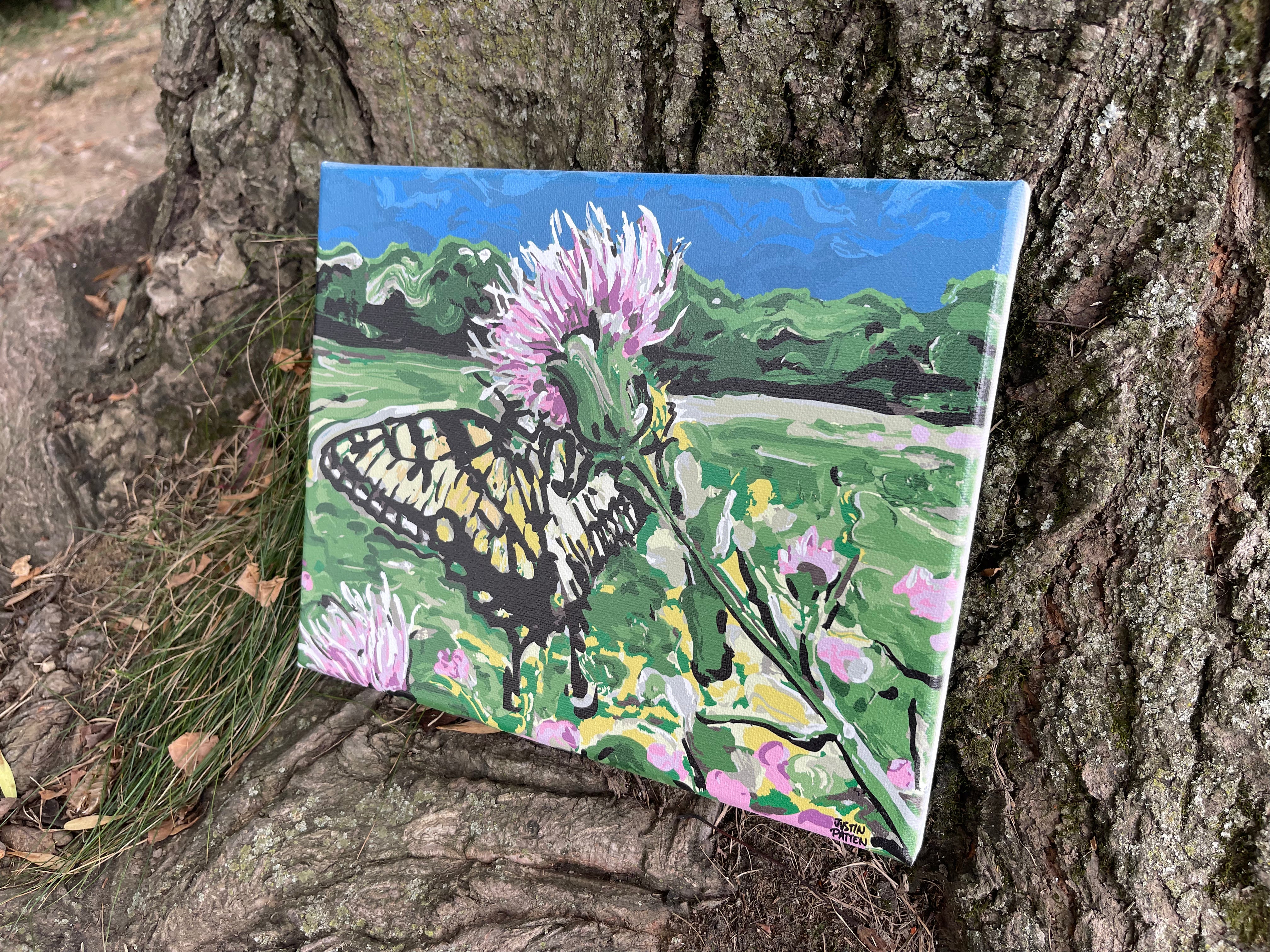 Butterfly on Thistle 10"x8" Wrapped Canvas Print by Justin Patten