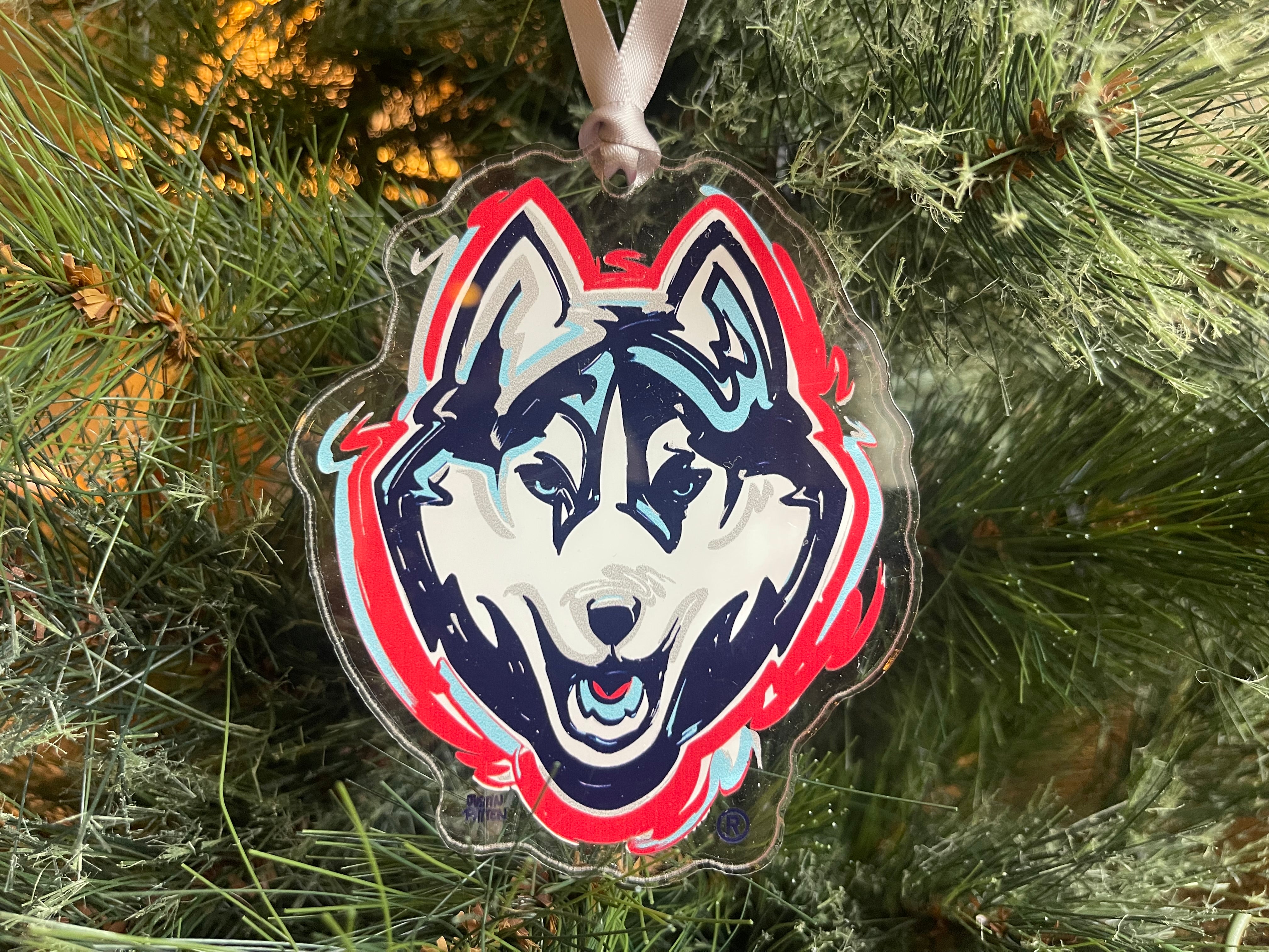 University of Connecticut Mascot Ornament by Justin Patten
