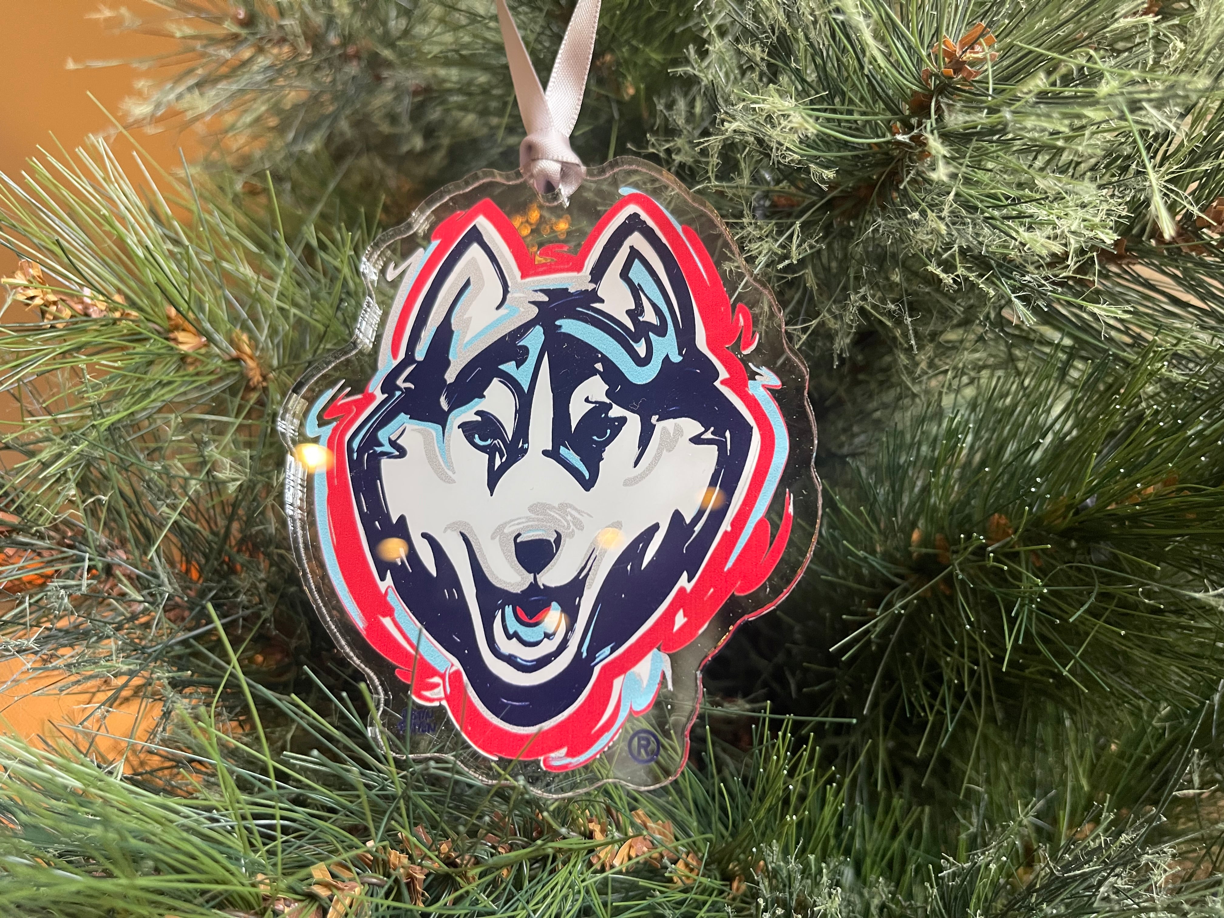University of Connecticut Mascot Ornament by Justin Patten