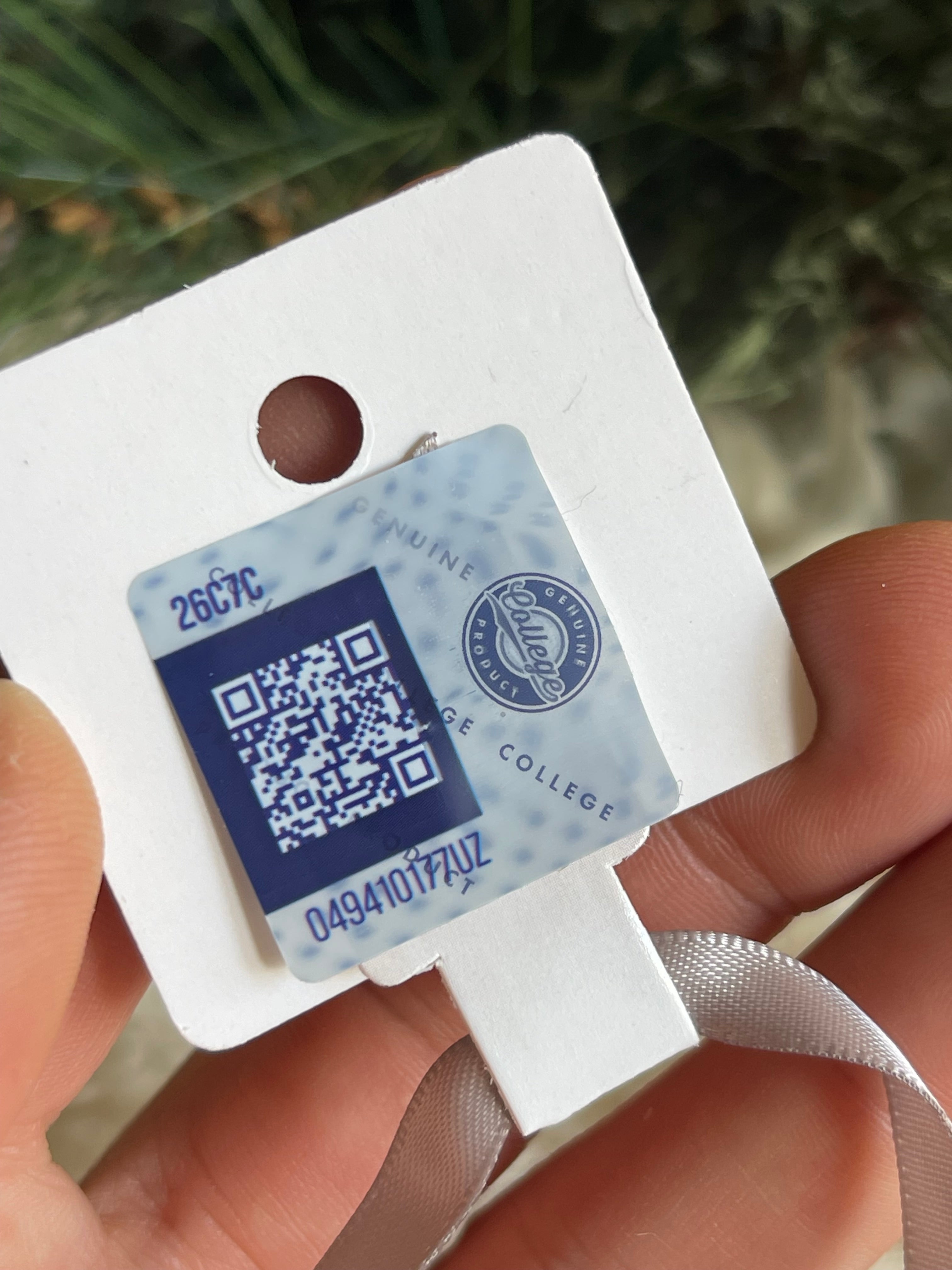 University of Georgia UGA Hairy Dawg Ornament by Justin Patten