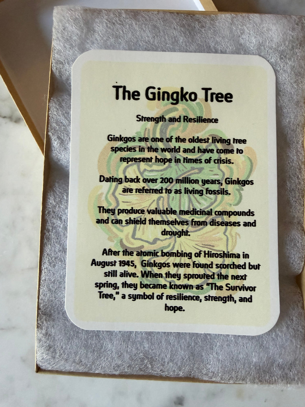 Ginkgo tree ornament card with cream backing and printed description, in gray gift box