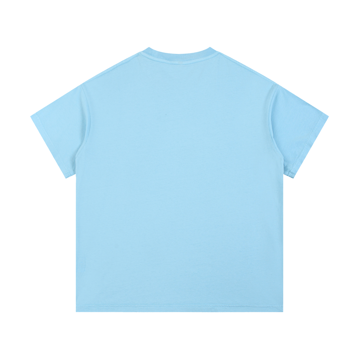 Vintage wash cotton T-shirt, sky blue, plain back view with crew neckline.