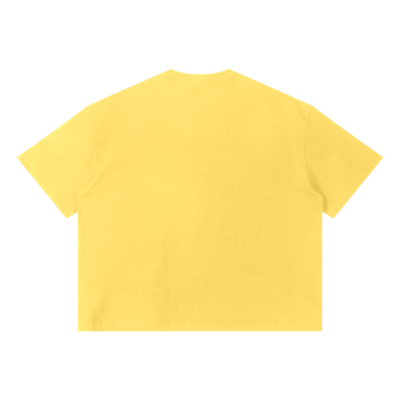 DePauw University Unisex Boxy T-Shirt by Justin Patten (Four Colors)(Tigers, Boxy Tee)