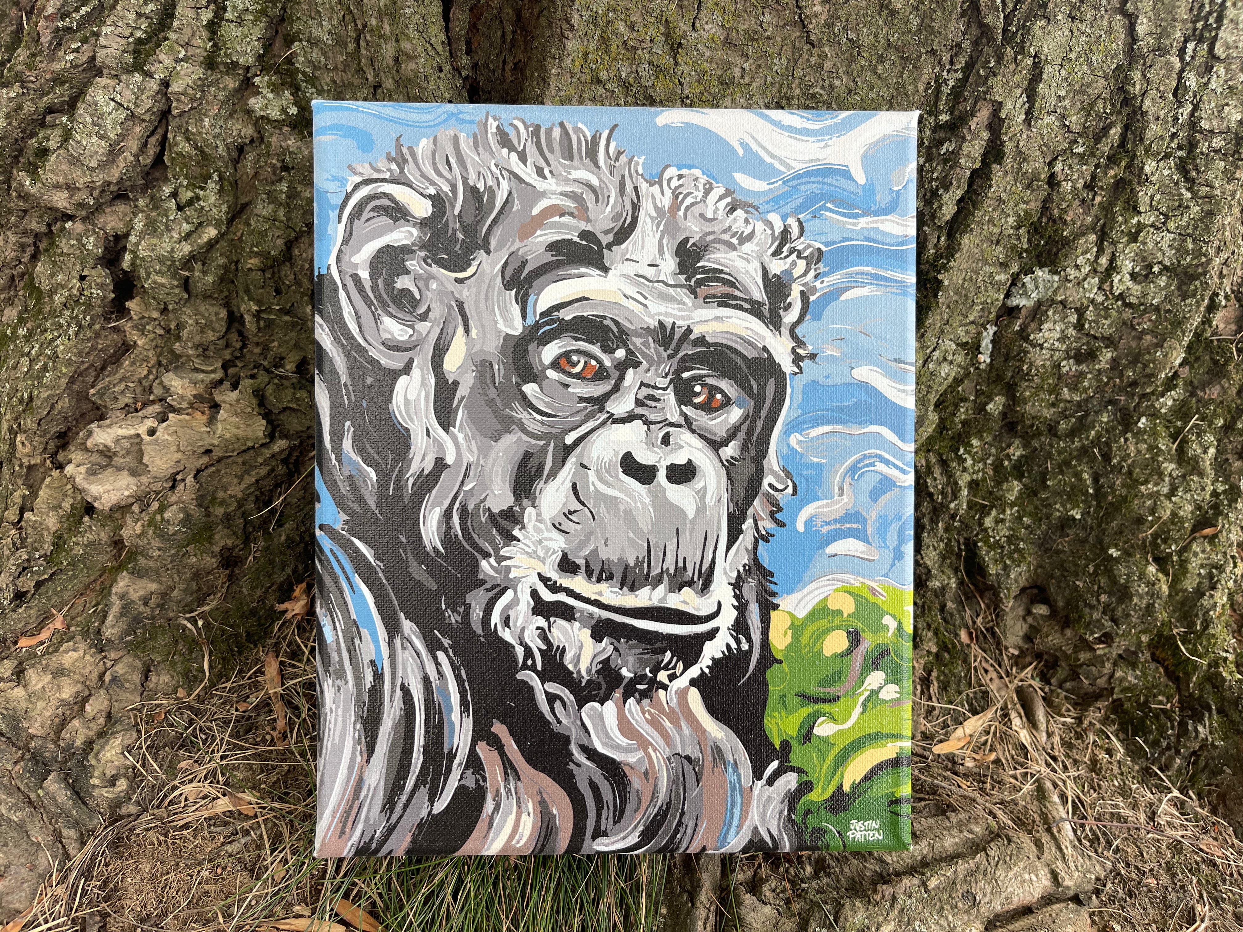 Chimpanzee 8"x10" Wrapped Canvas Print by Justin Patten