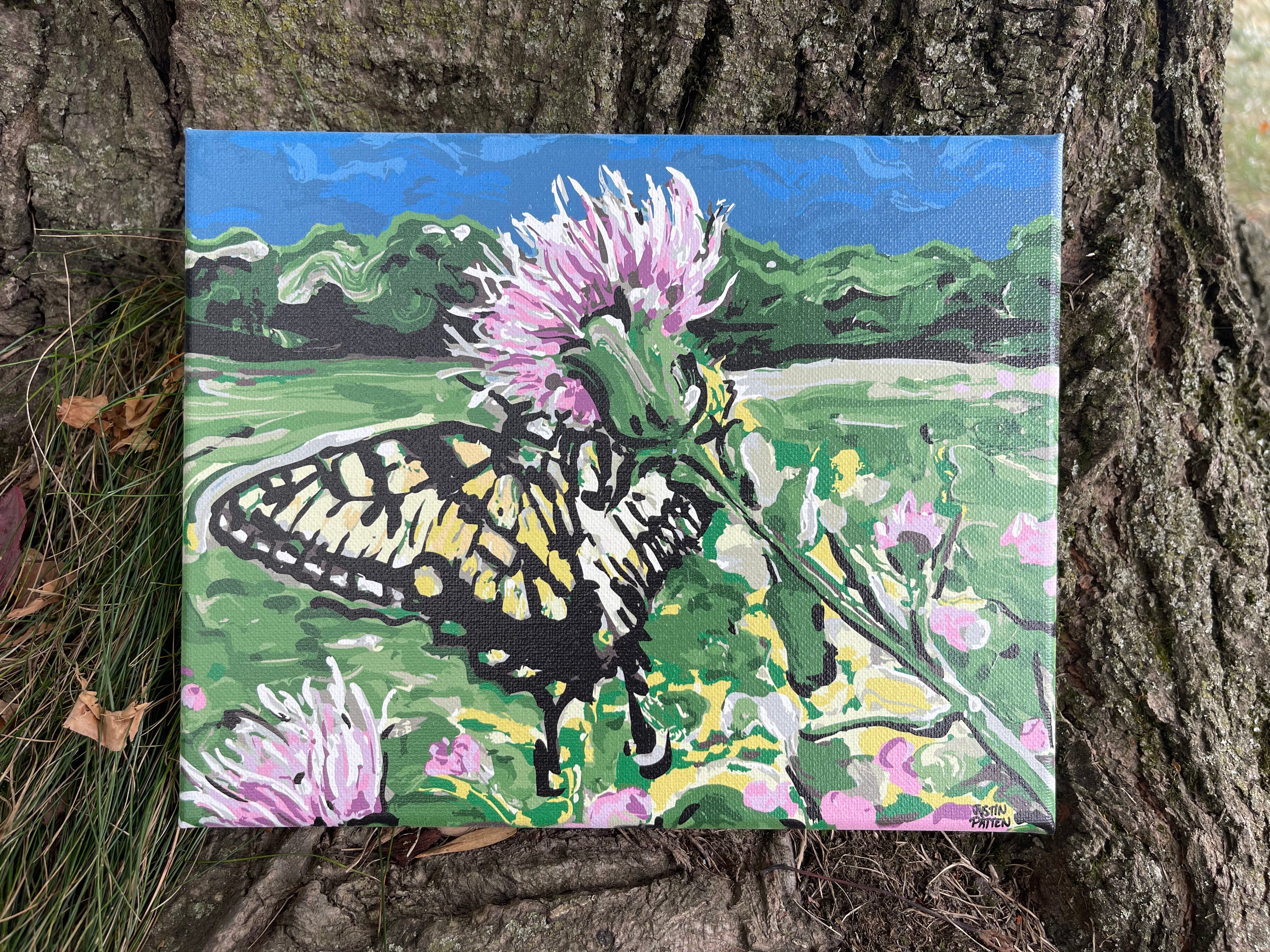 Butterfly on Thistle 10"x8" Wrapped Canvas Print by Justin Patten